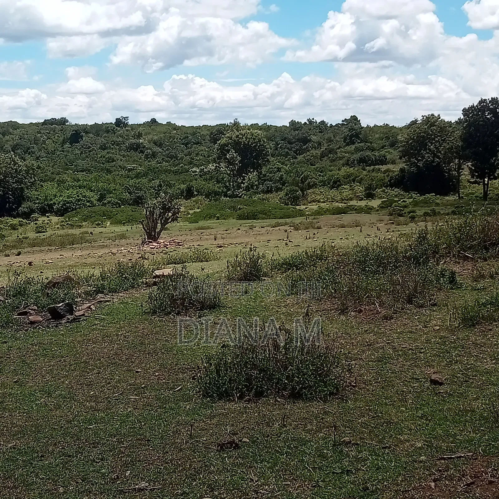 Prime 150-Acre Land for Sale – Karadi