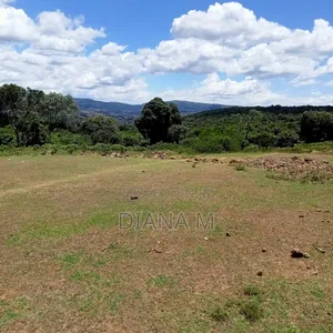 Prime 150-Acre Land for Sale – Karadi