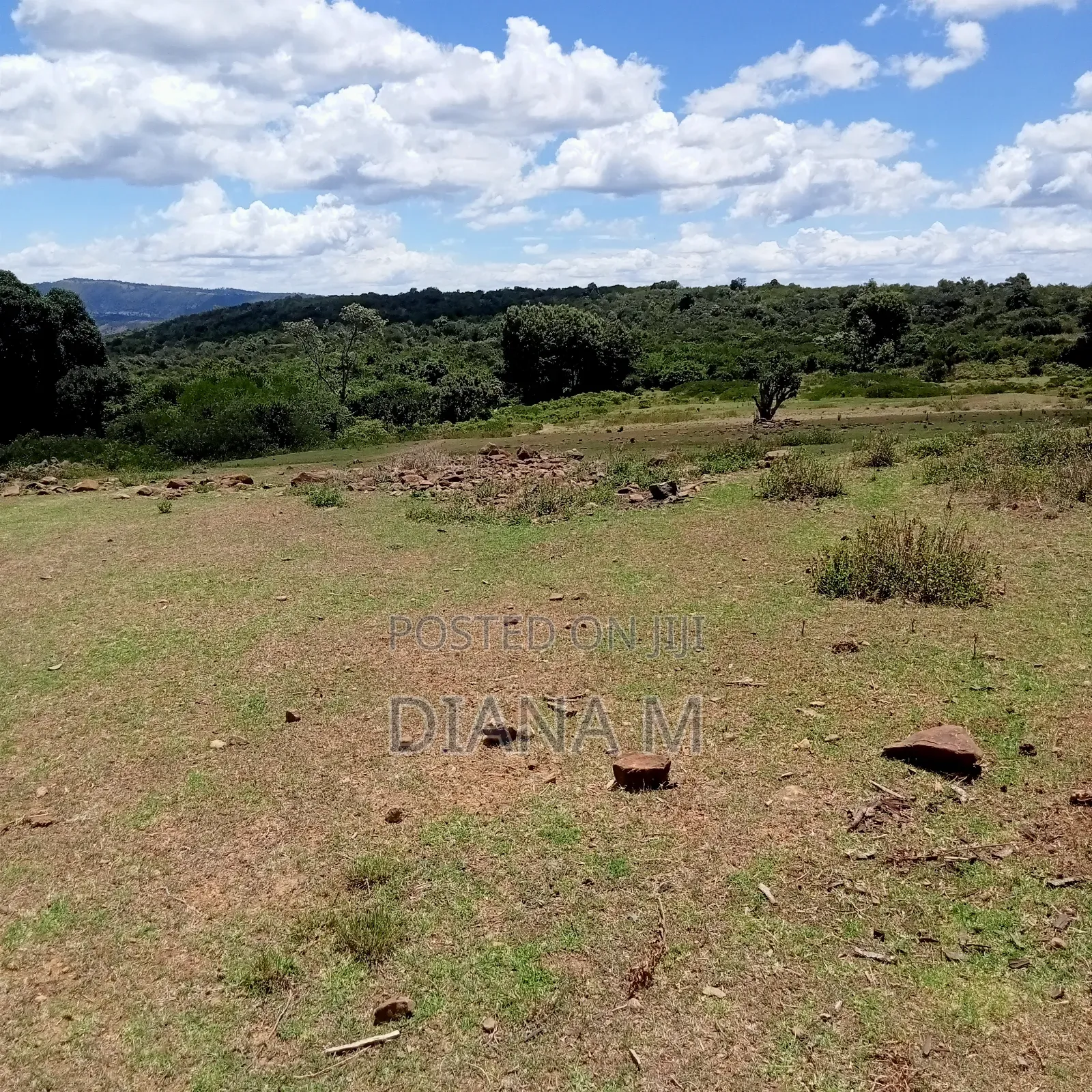 Prime 150-Acre Land for Sale – Karadi