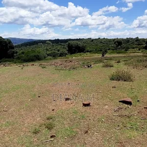 Prime 150-Acre Land for Sale – Karadi