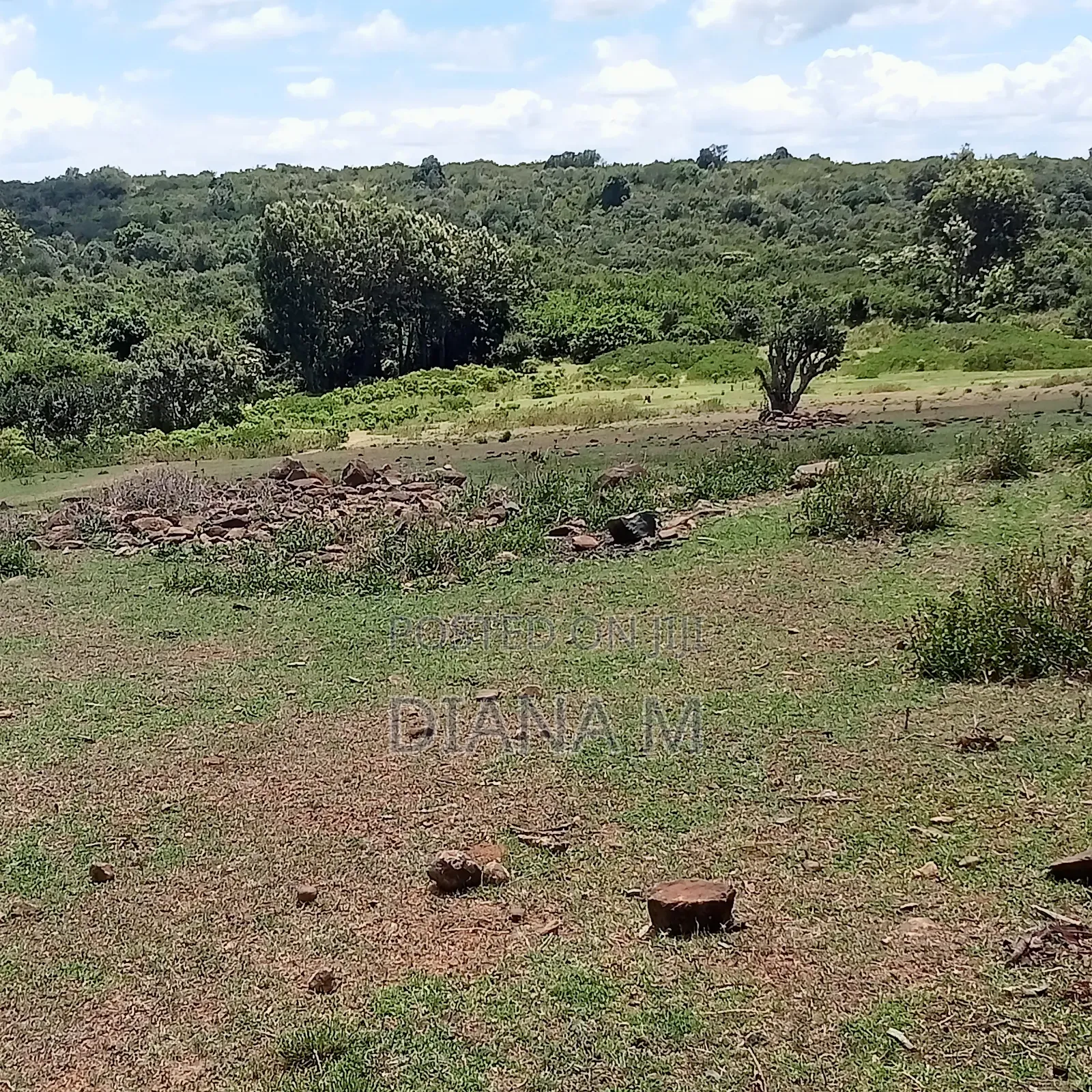 Prime 150-Acre Land for Sale – Karadi