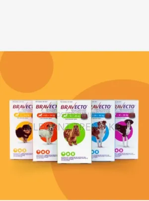 Bravecto for Dogs