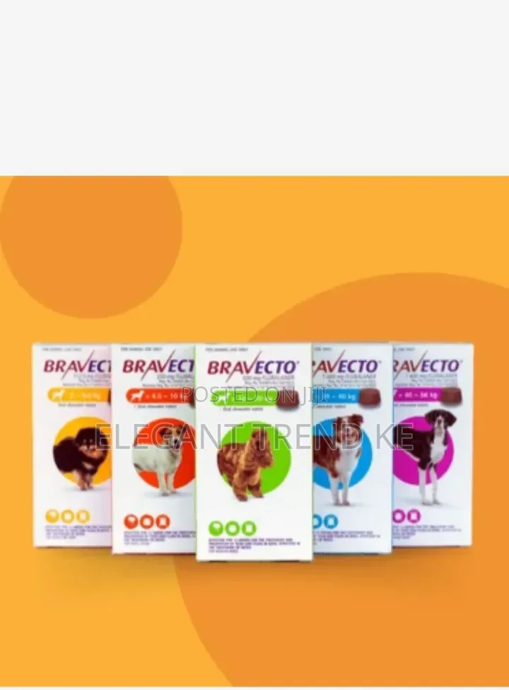 Bravecto for Dogs