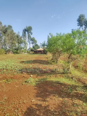 Plot for Sale