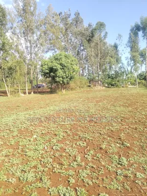 Plot for Sale