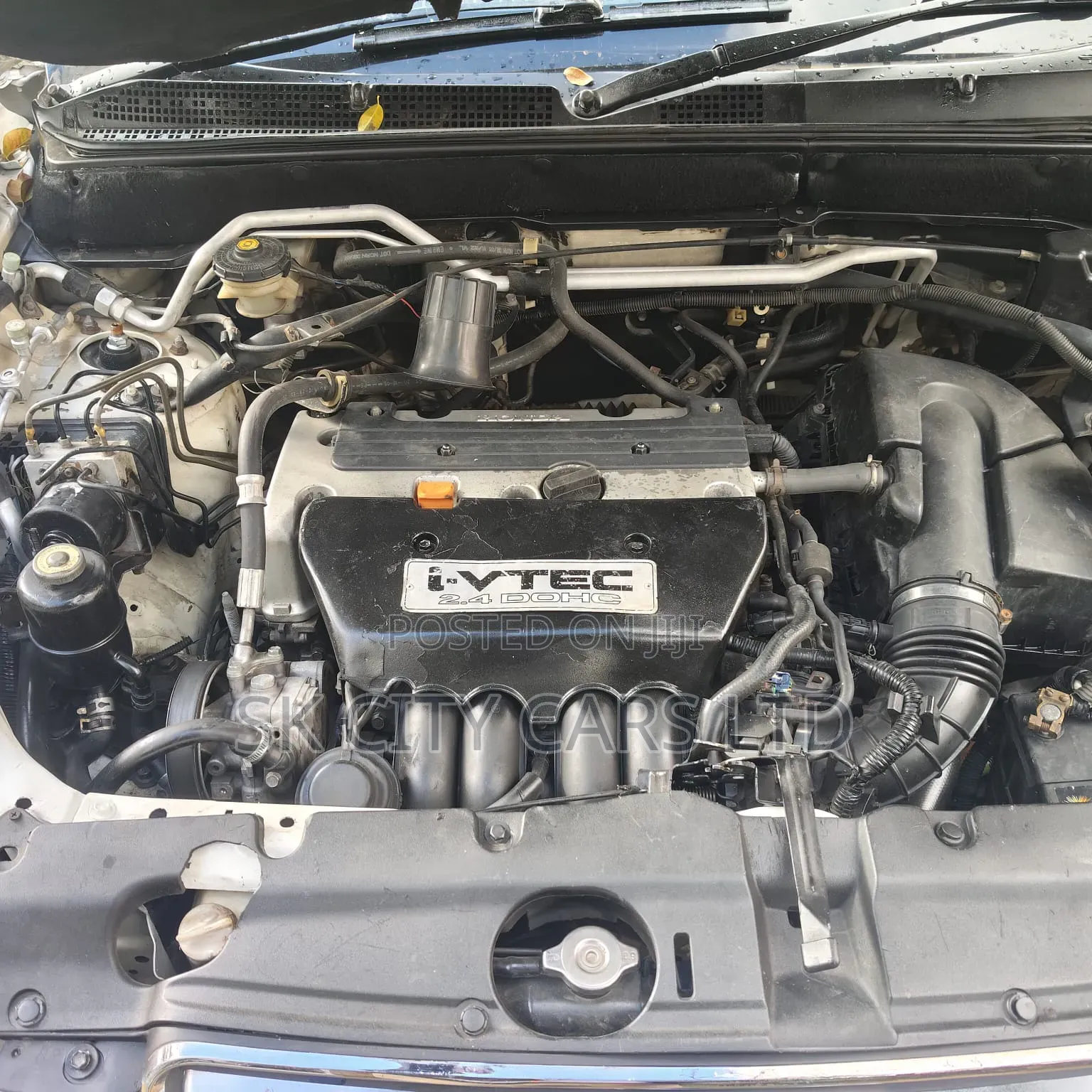 Honda CR-V 2004 White