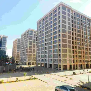 2bdrm Apartment in Kings Boma, Gitothua for rent