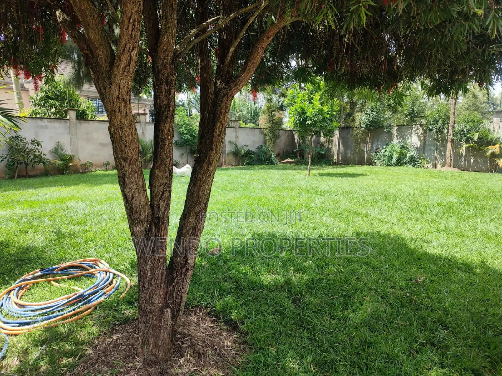 4bdrm Bungalow in Karen C for rent