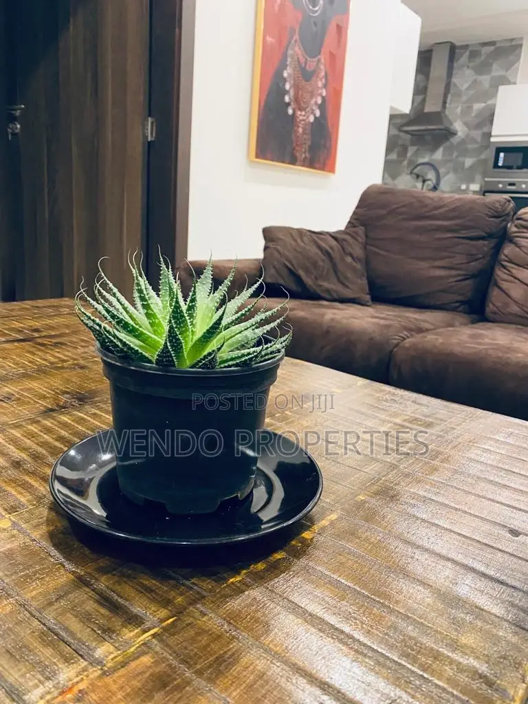 Furnished 2bdrm Apartment in Raphta Road Area for rent