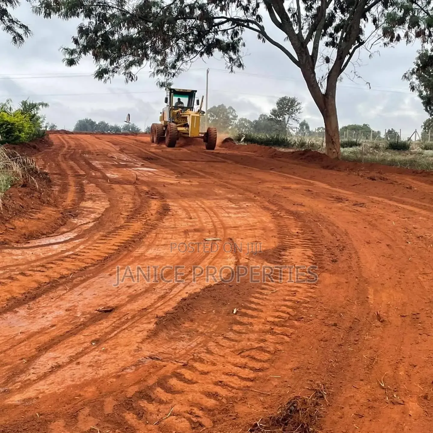 Secure Your 1/4 Acre Today! Experience Luxury Living at Karunguru