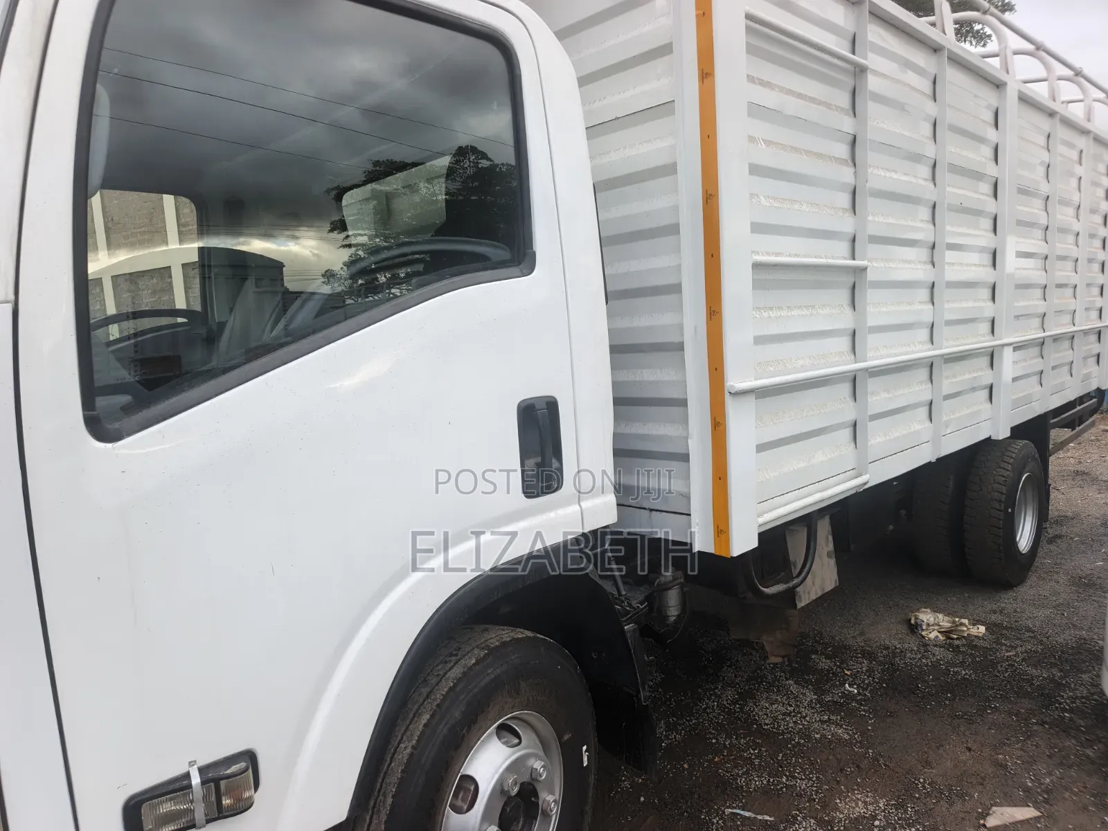 Isuzu NQR for Sale