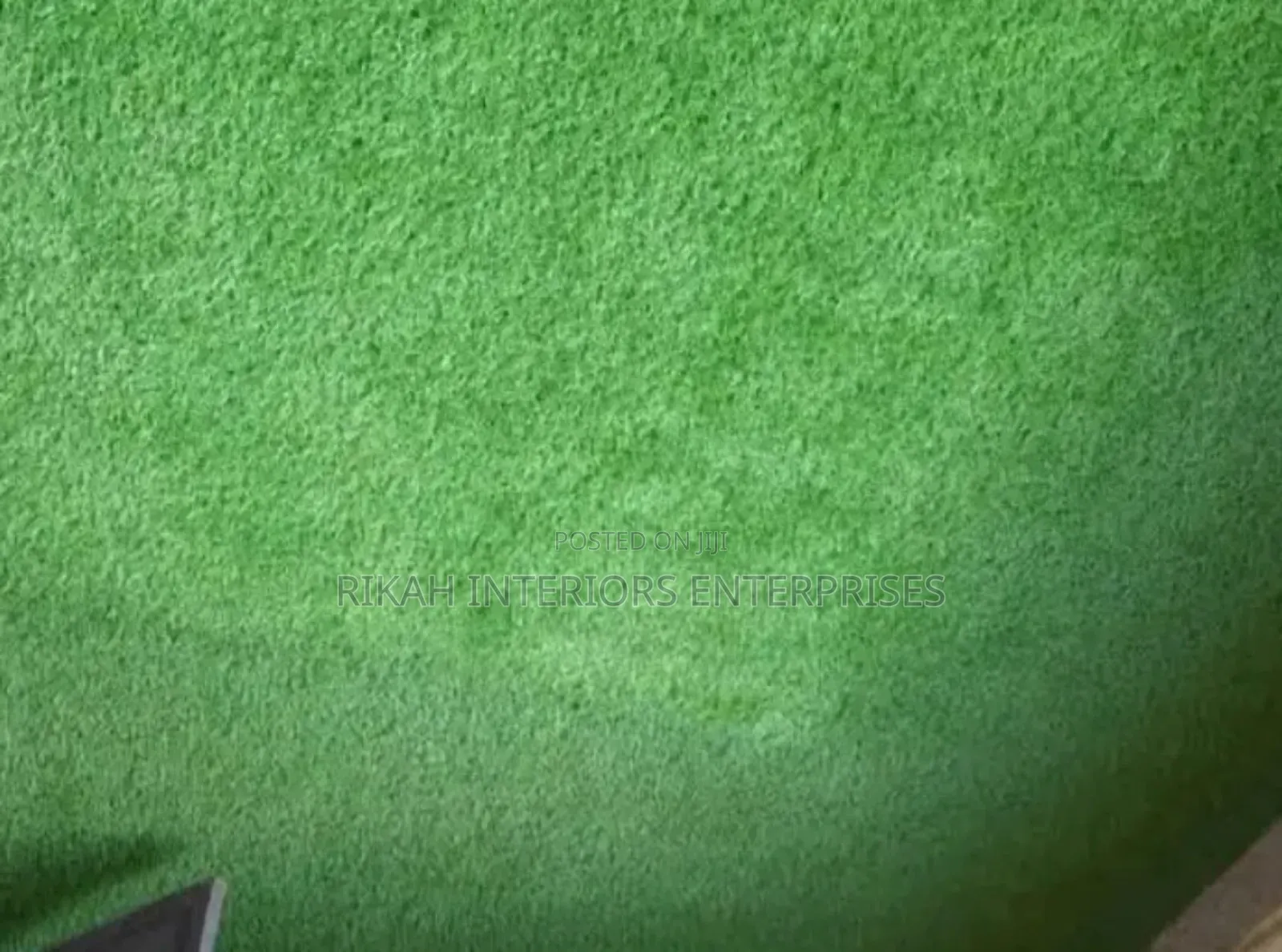Indoor Grass Carpets Grass Carpets Environmental Friendly Robertson's