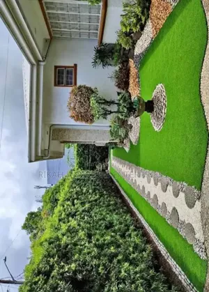 Grass Carpets Turf Grass Carpets Environmental Friendly Robertson's