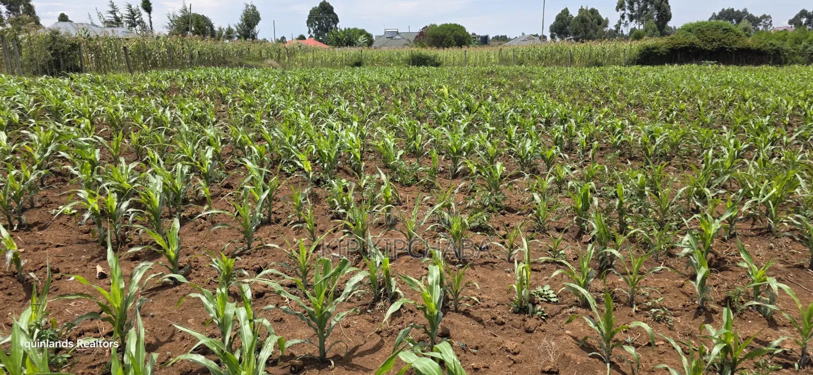 1⁄4 Plot for Sale Eldoret Wingsdrive Chepkoilel