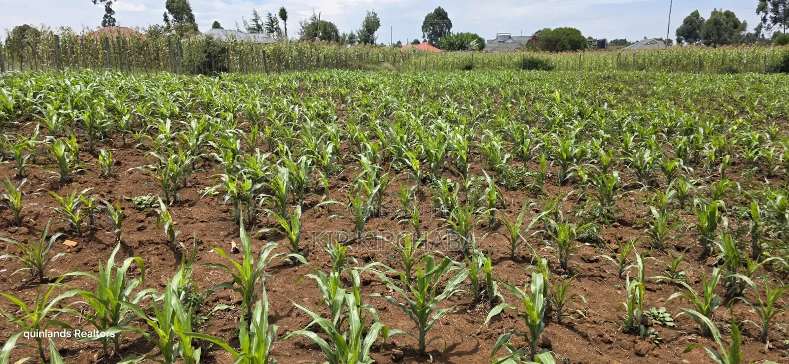 1⁄4 Plot for Sale Eldoret Wingsdrive Chepkoilel