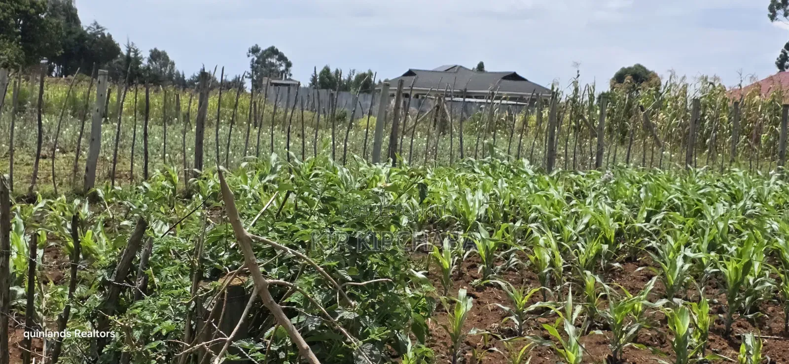 1⁄4 Plot for Sale Eldoret Wingsdrive Chepkoilel