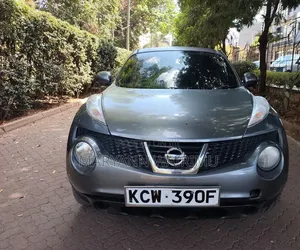 Nissan Juke 2012 Gray