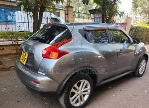 Nissan Juke 2012 Gray