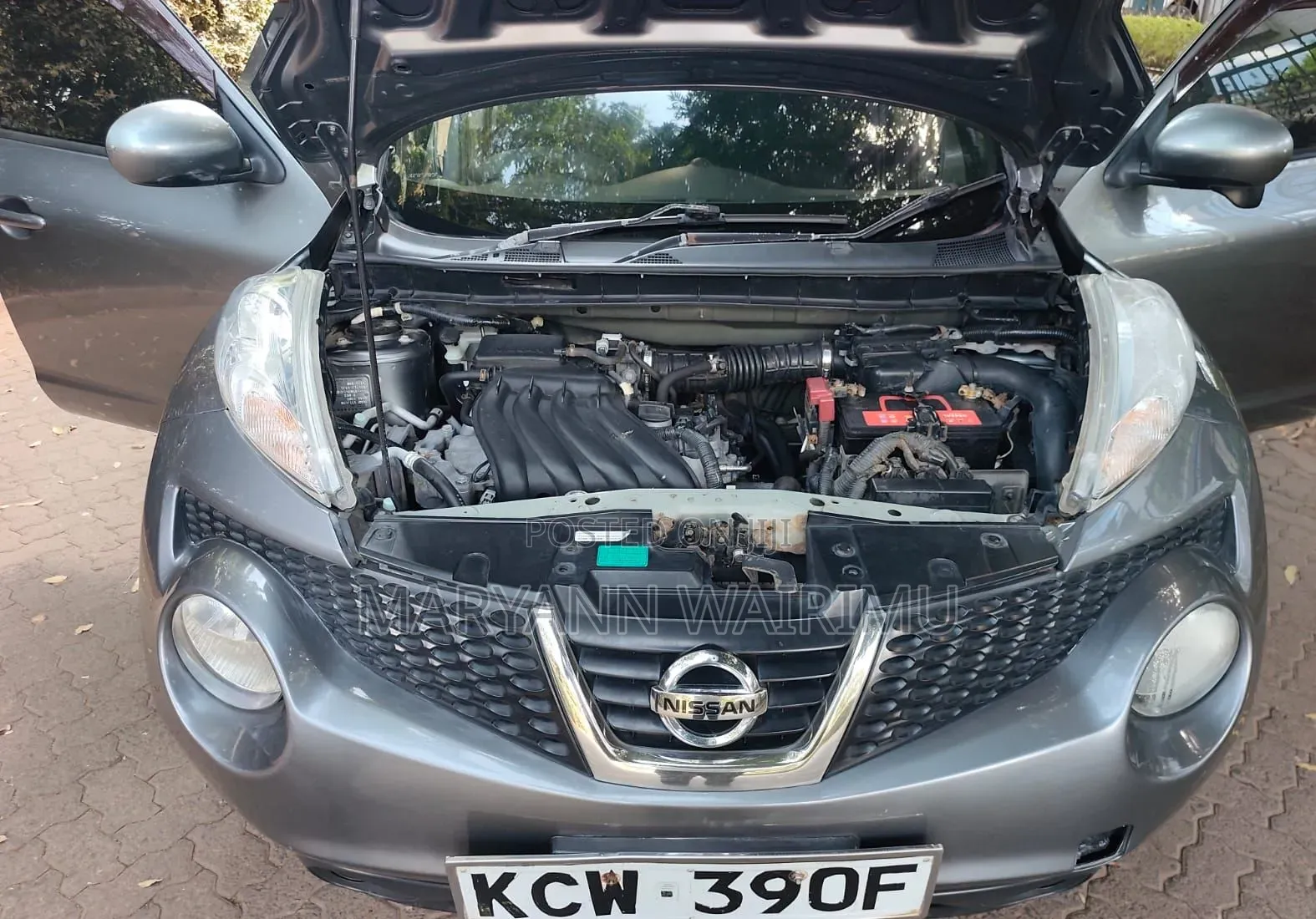 Nissan Juke 2012 Gray