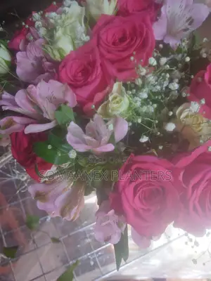 Somaanex Flowers Decorations