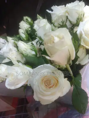 Somaanex Flowers Decorations