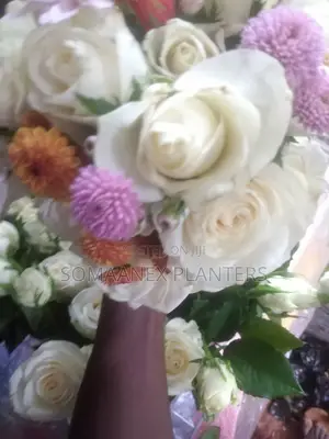 Somaanex Flowers Decorations