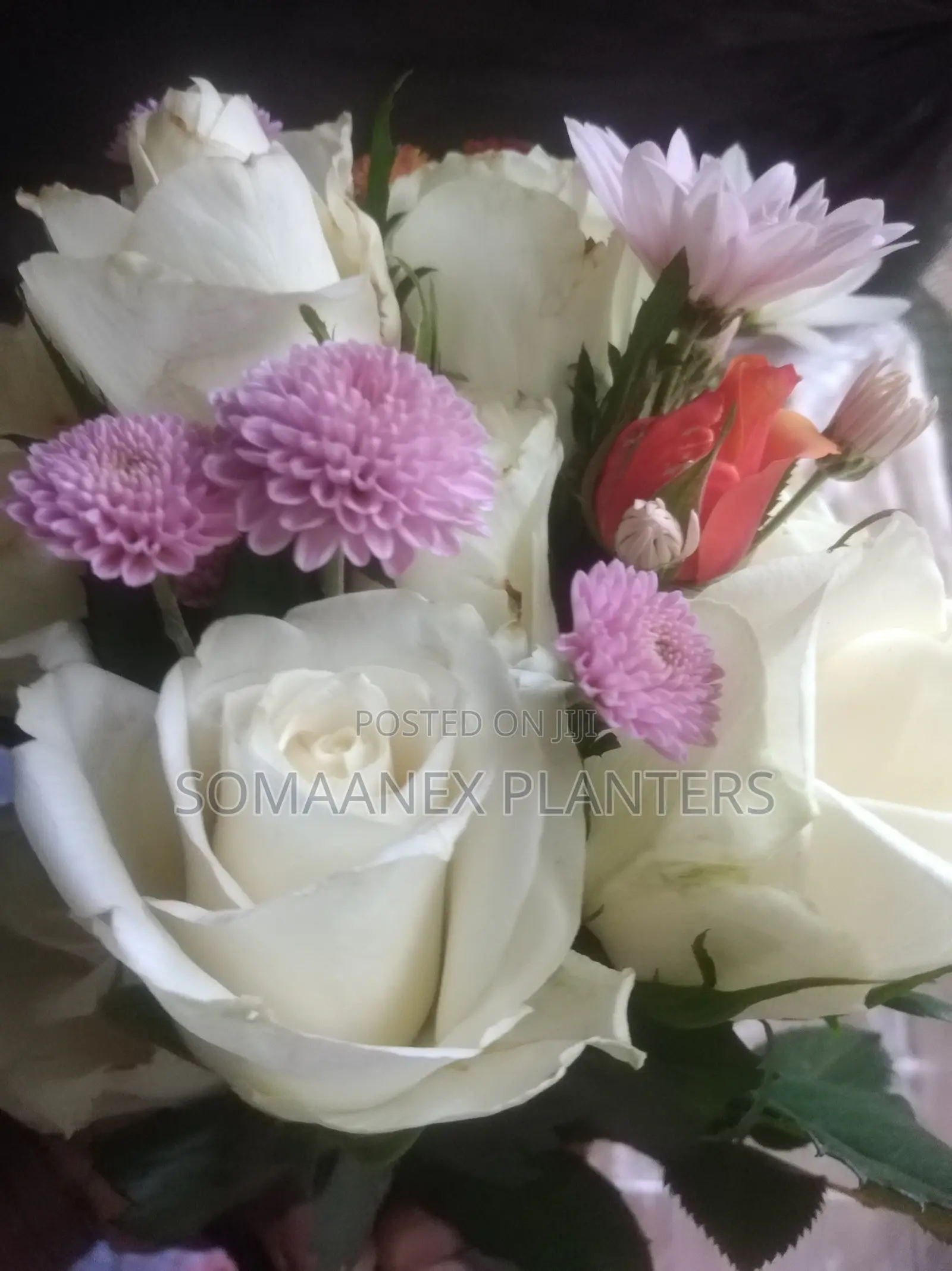 Somaanex Flowers Decorations