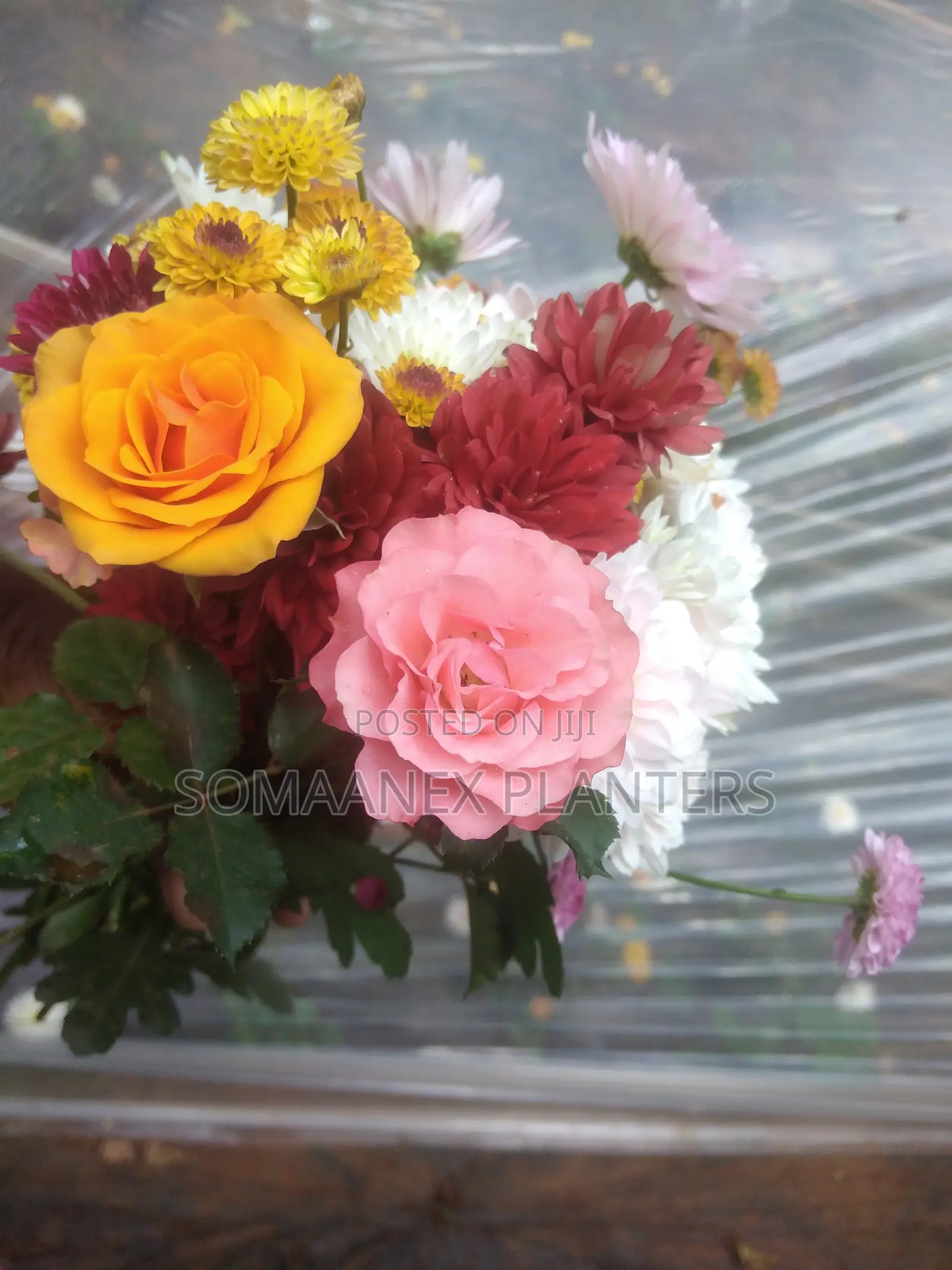 Somaanex Flowers Decorations