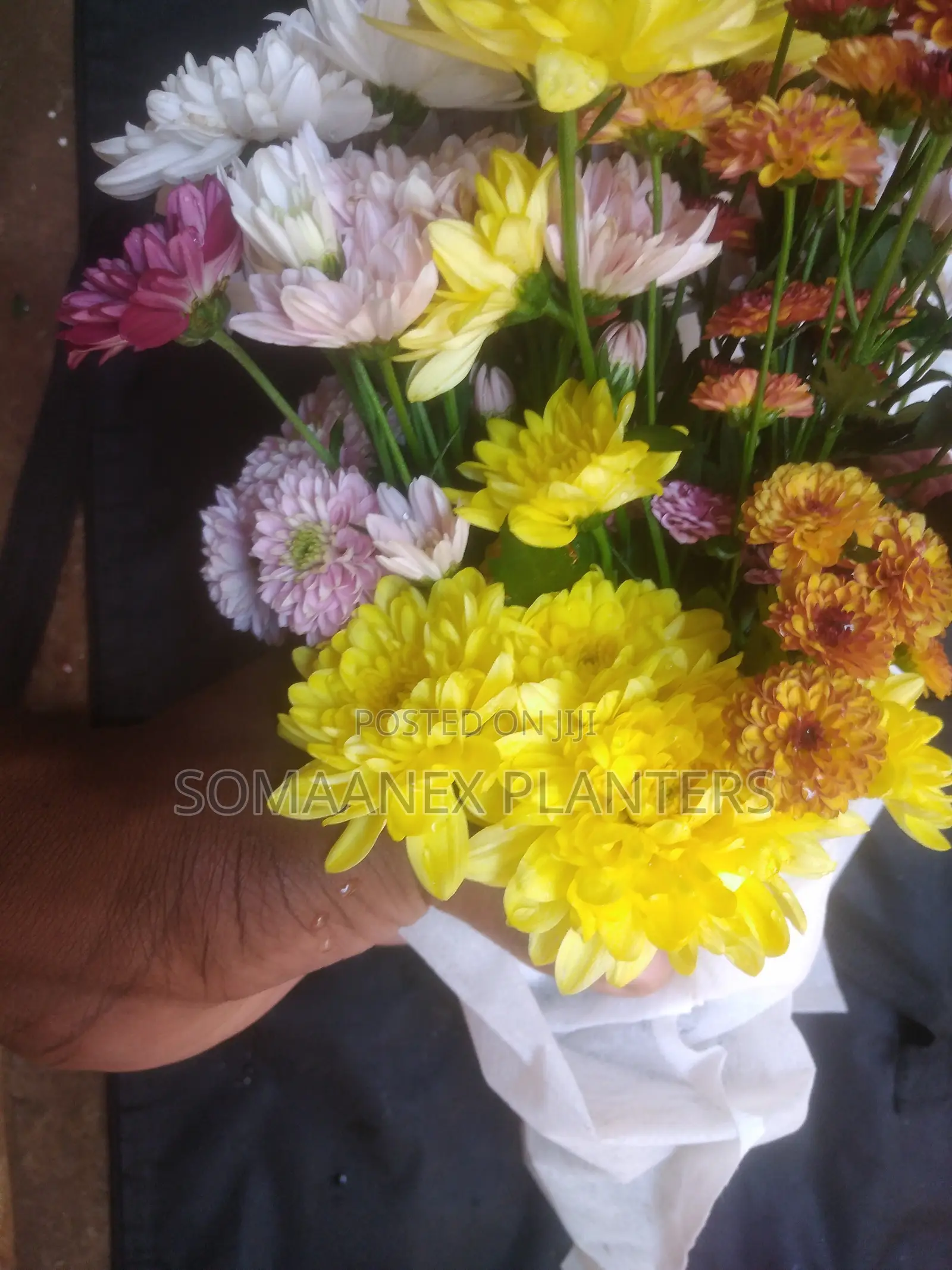 Somaanex Flowers Decorations
