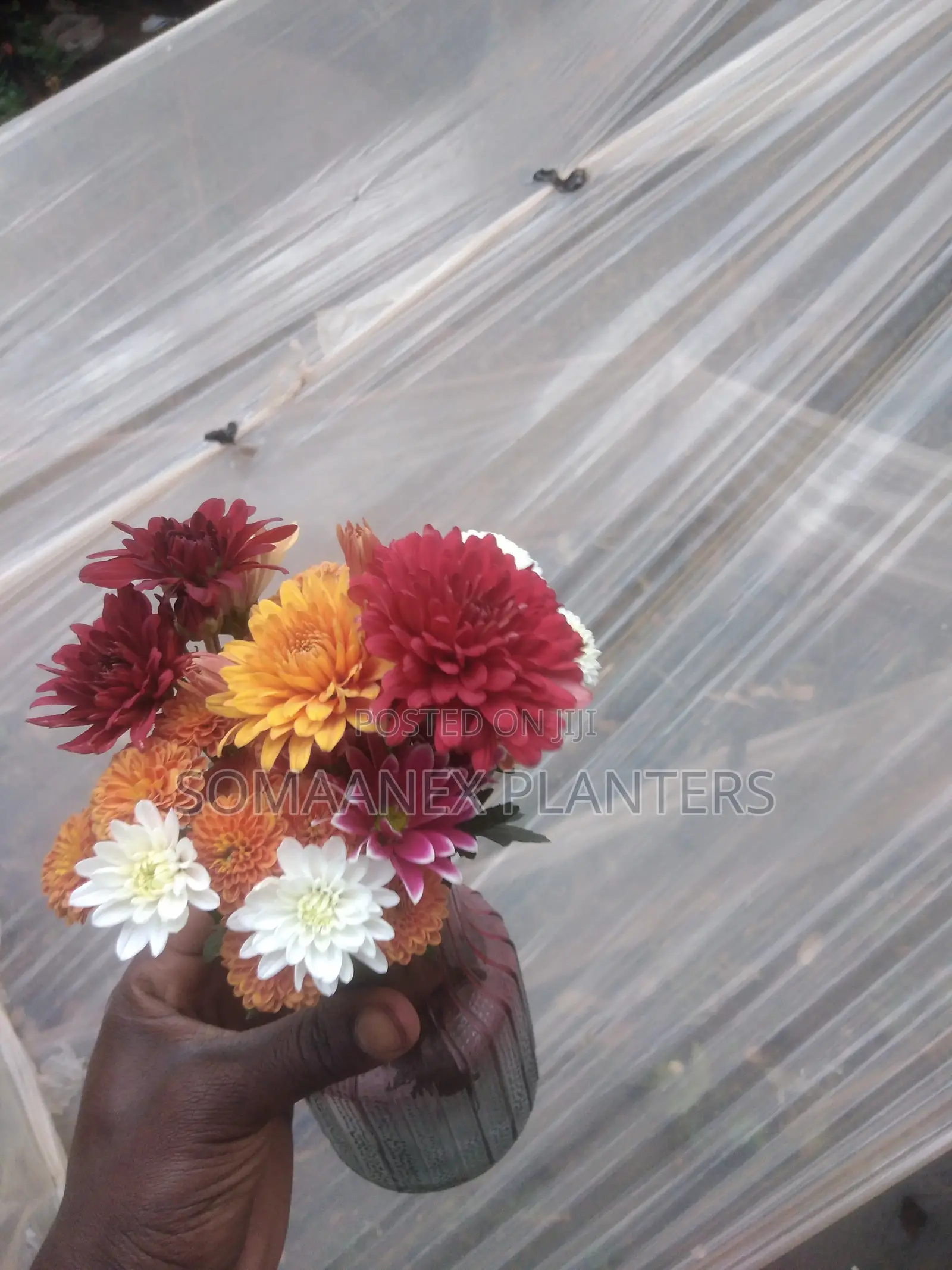 Somaanex Flowers Decorations