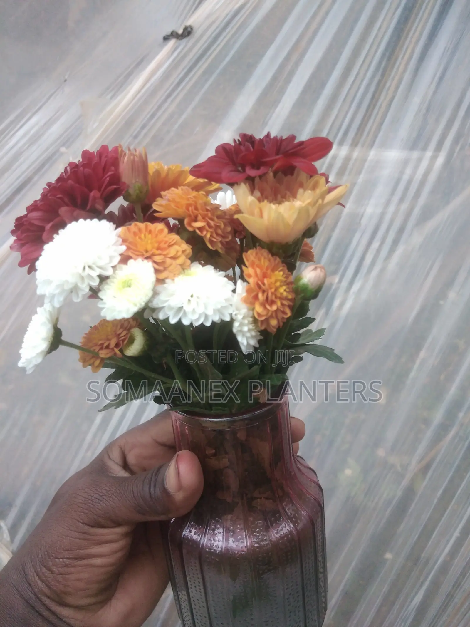 Somaanex Flowers Decorations