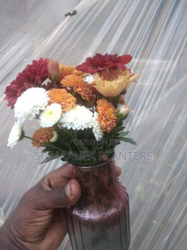 Somaanex Flowers Decorations - thumbnail 11
