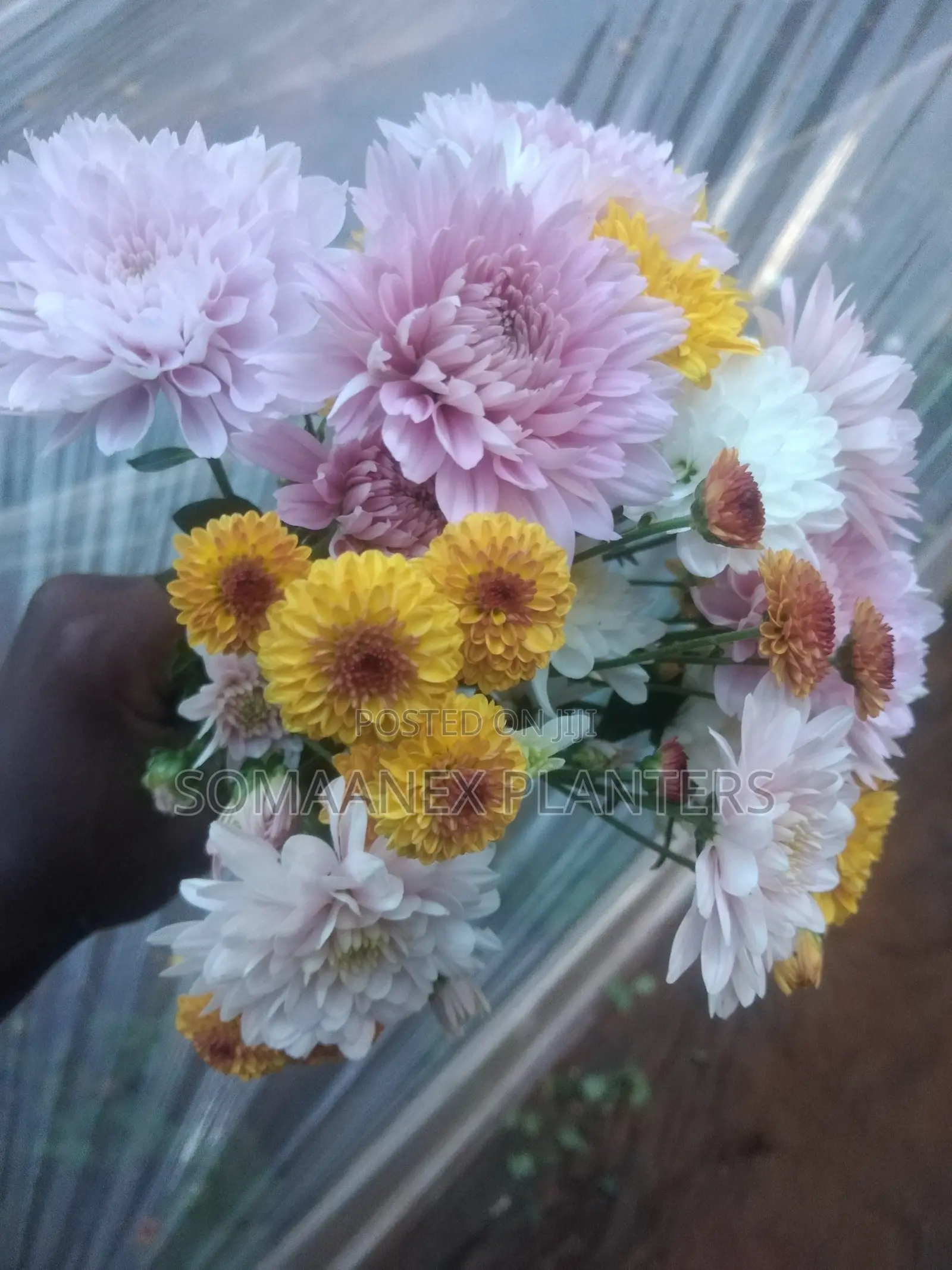 Somaanex Flowers Decorations