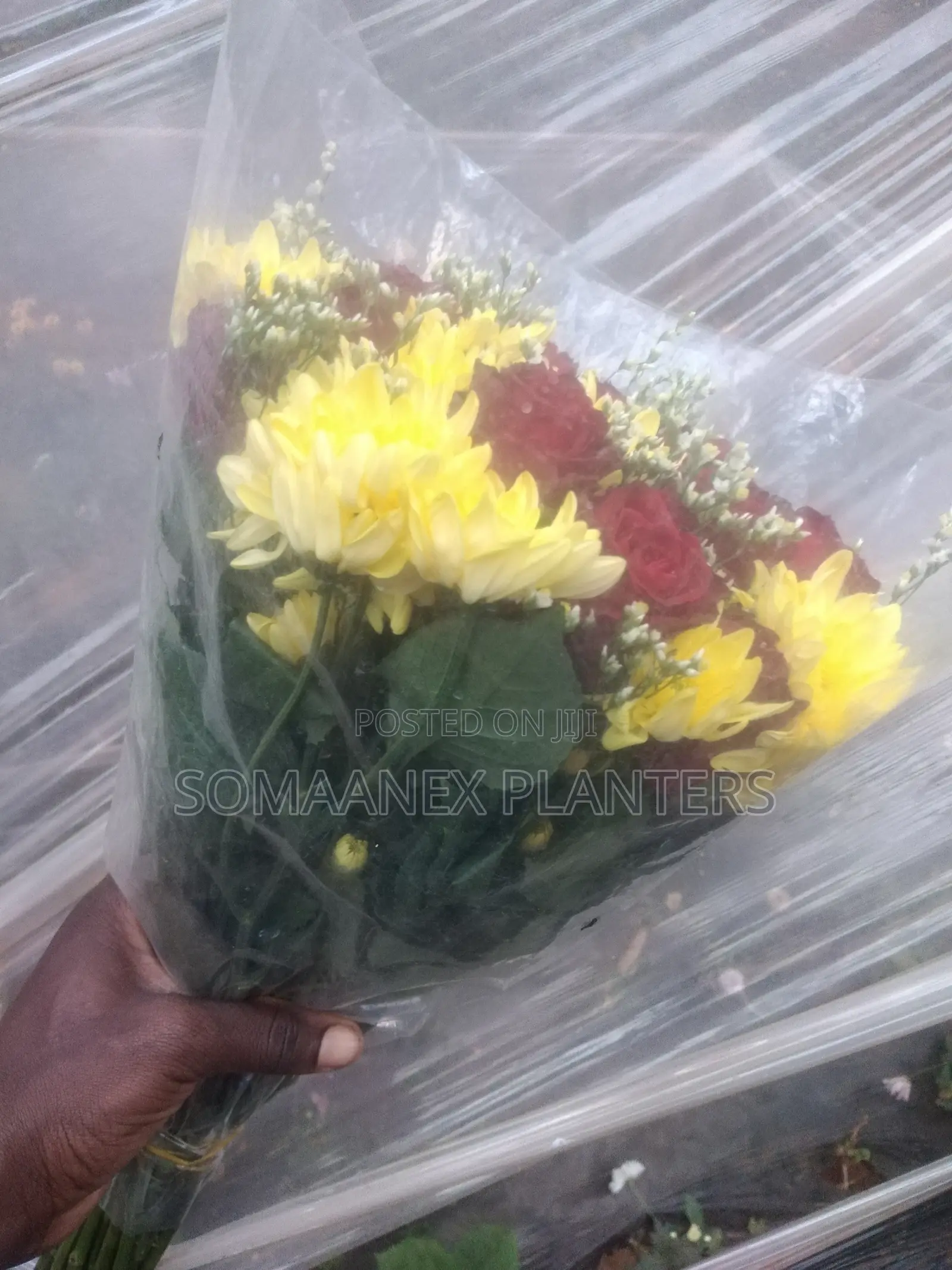 Somaanex Flowers Decorations