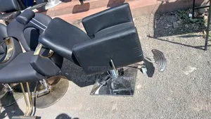 Recliner Salon Chair