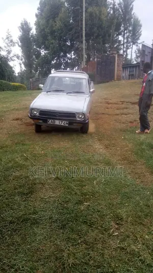 Datsun 1200 1973 Gray