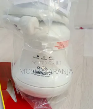 Lorenzetti Instant Hot Shower Water Heater