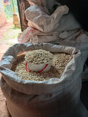 Two Bags of Maize
