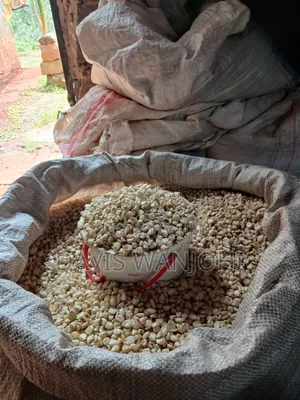 Two Bags of Maize