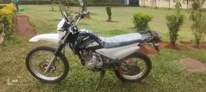 Yamaha 2017 White