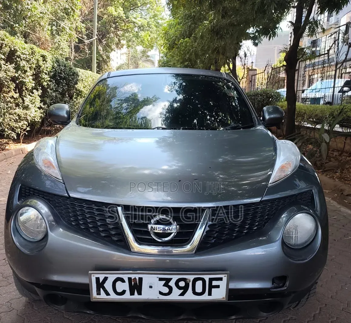 Nissan Juke 2012 Silver