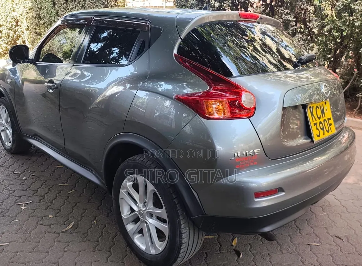 Nissan Juke 2012 Silver