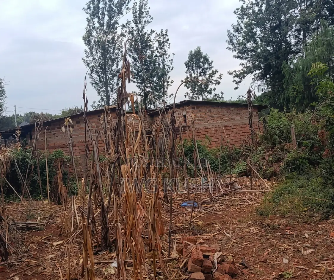 2.5 Acres Prime Land for Sale in Embu