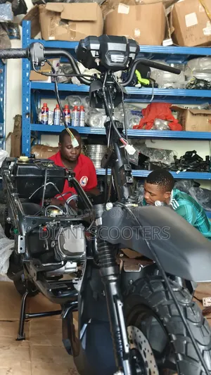 New Motorcycle 2025 Gray