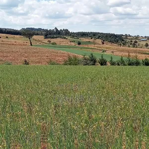 2 Acres Prime Agricultural Land for Sale – Rwathia, Ndurumo, Nyandarua
