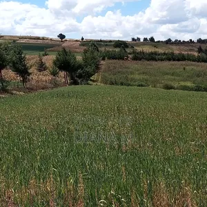 2 Acres Prime Agricultural Land for Sale – Rwathia, Ndurumo, Nyandarua