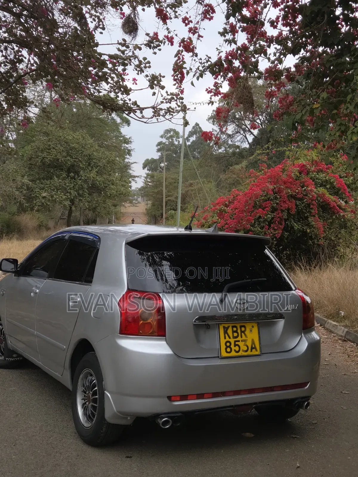 Toyota Allex 2005 Silver