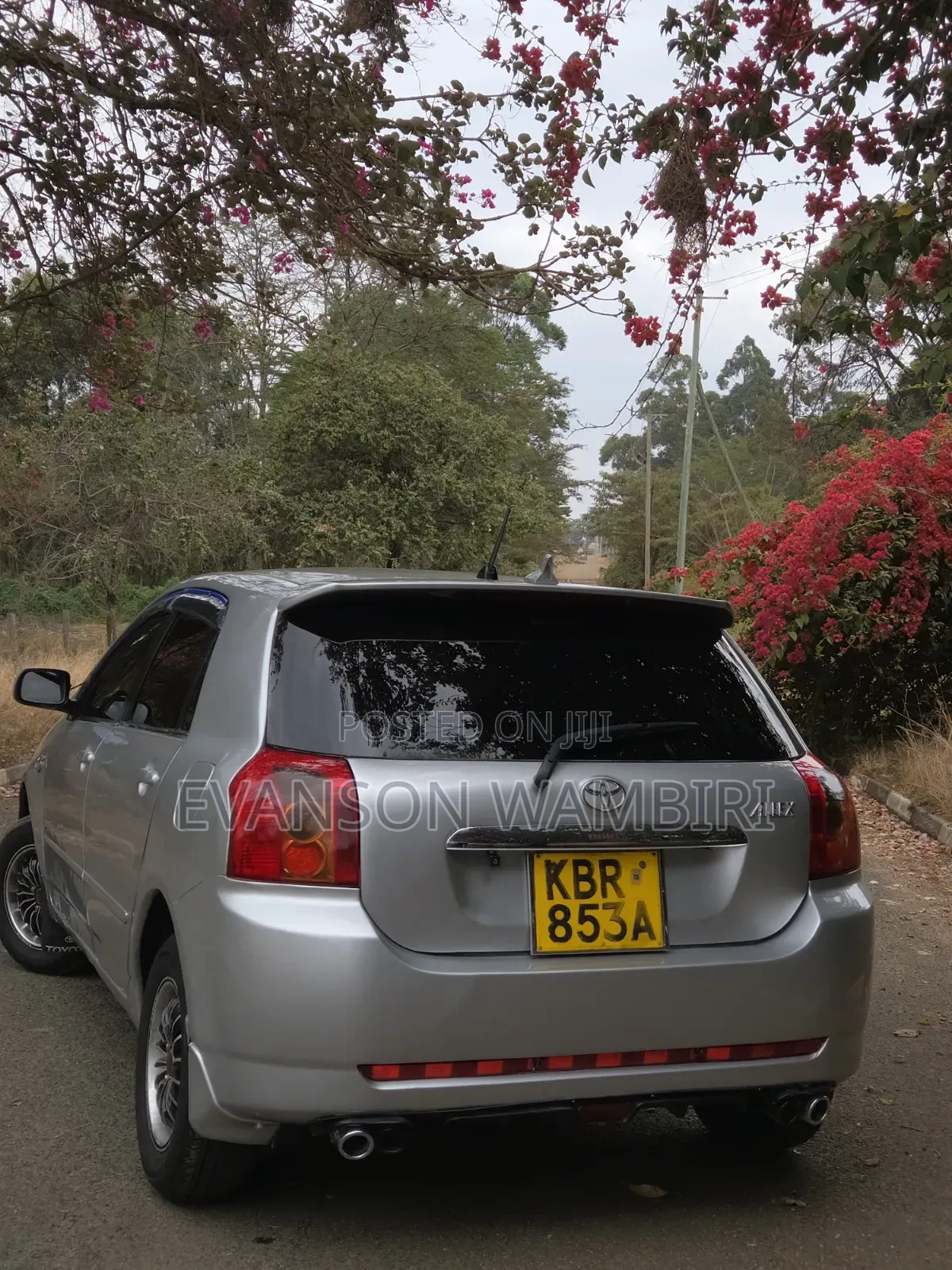 Toyota Allex 2005 Silver