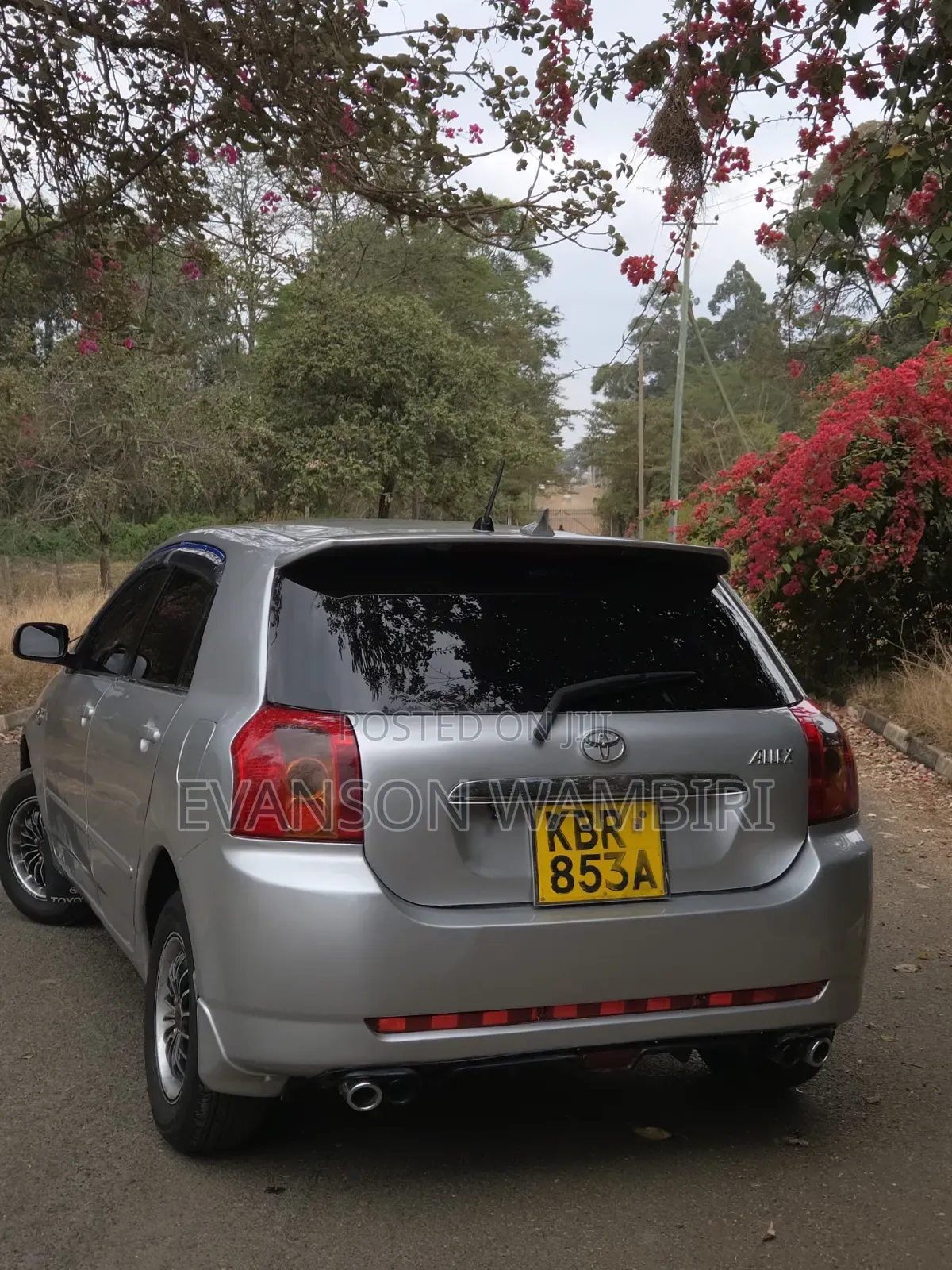 Toyota Allex 2005 Silver