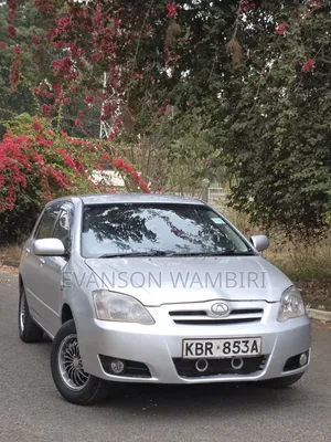 Toyota Allex 2005 Silver